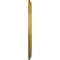 Ekena Millwork Genevieve Ceiling Medallion (Canopies up to 3 1/2"), 16 1/8"OD x 3 1/2"ID x 7/8"P, Iridescent Gold CM16GNIGS - alternate 4